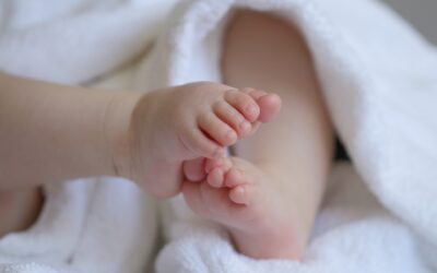 Brief eines Babys an seine Eltern
